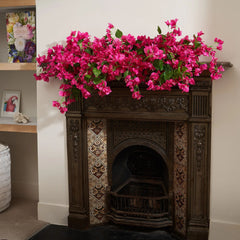 Bougainvillea Magenta Garland，Hot Pink