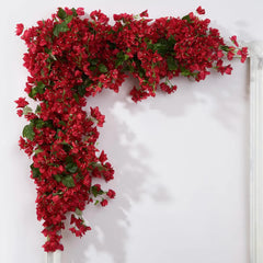 Bougainvillea Magenta Garland，Red